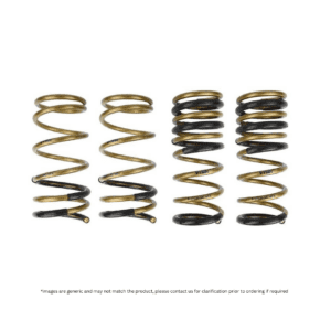 TEIN Springs – H. Tech SKM66-BUB00