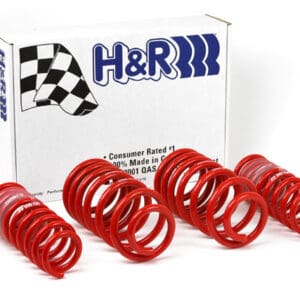 H&R 96-01 Audi A4 Quattro (AWD) B5 Race Spring 29996-1