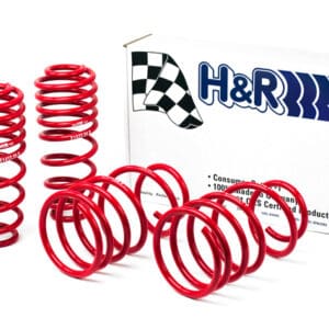 H&R 05-09 Ford Mustang/Convertible/GT/Shelby GT/Shelby GT-H V6/V8 Race Spring 51655-88